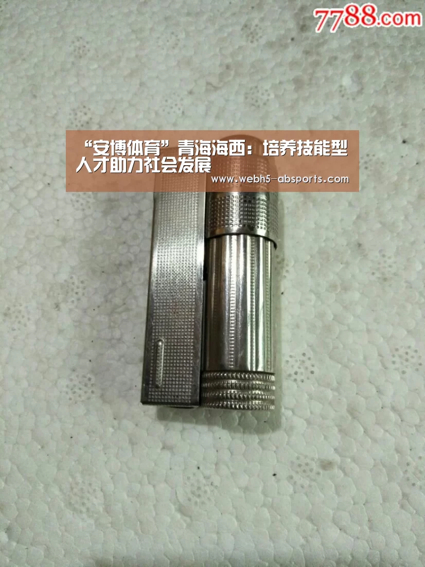 “安博体育”青海海西:培养技能型人才助力社会发展(图1) 安博体育