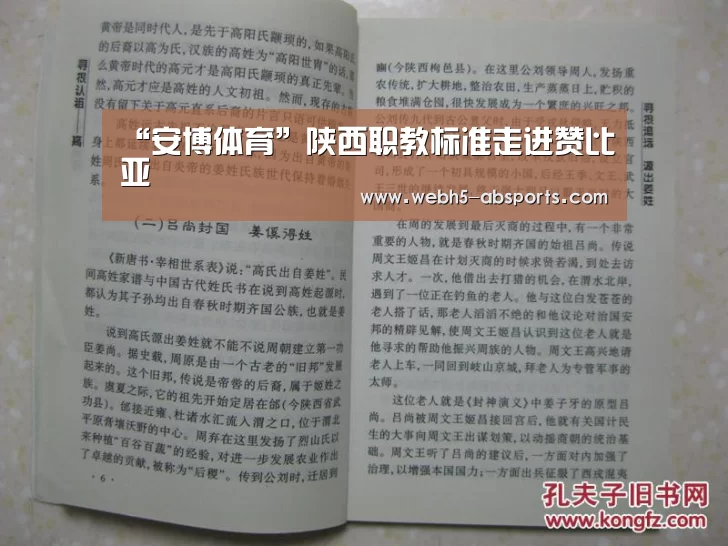 “安博体育”陕西职教标准走进赞比亚(图4) 安博体育