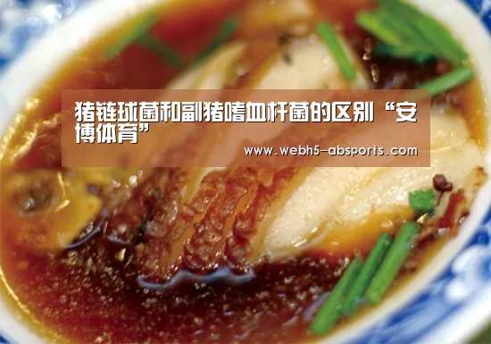 猪链球菌和副猪嗜血杆菌的区别“安博体育”(图1) 安博体育