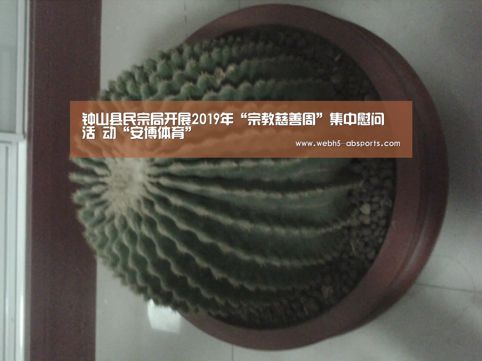 钟山县民宗局开展2019年“宗教慈善周”集中慰问 活 动“安博体育”(图4) 安博体育