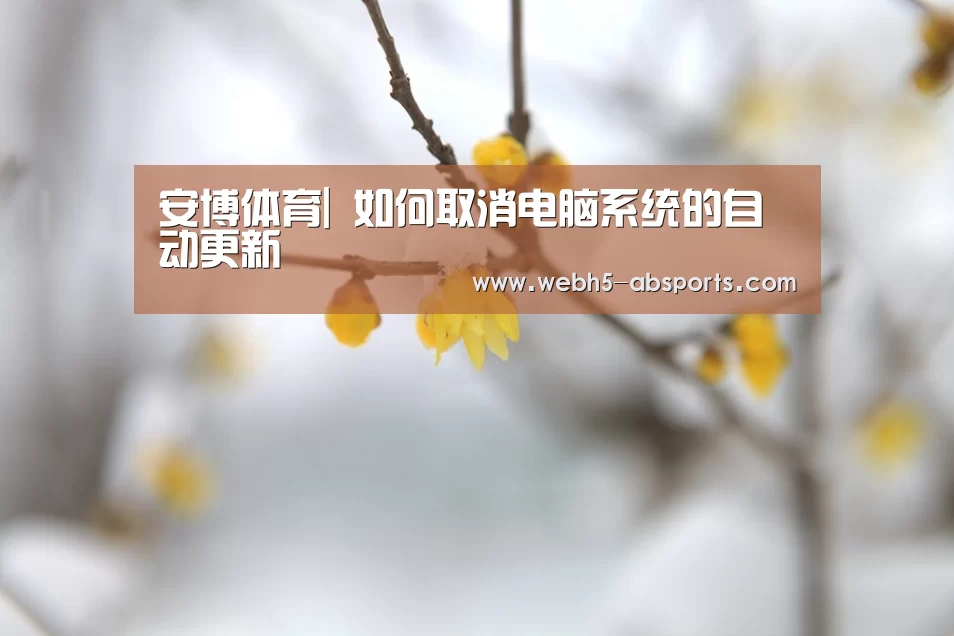 安博体育|
如何取消电脑系统的自动更新(图1) 安博体育