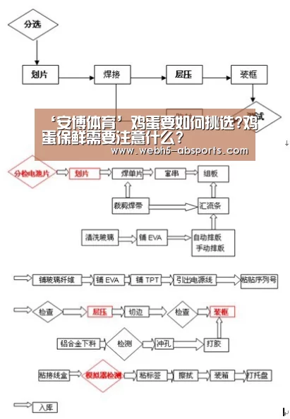 安博体育